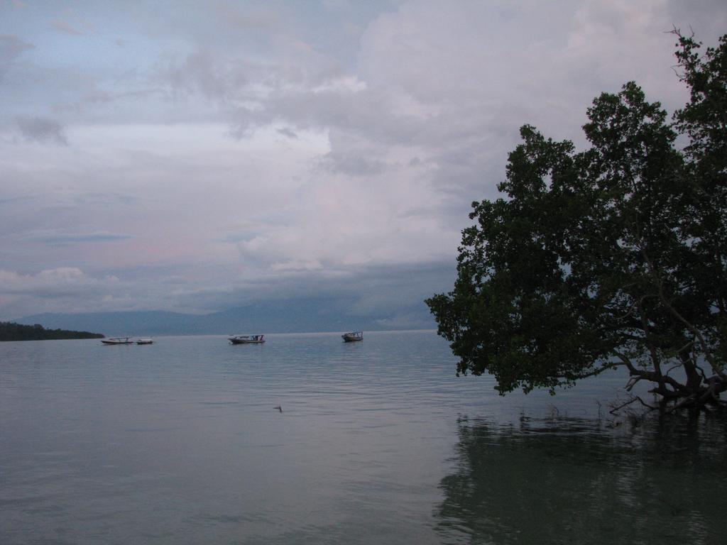 Happy Gecko Dive Resort Bunaken Exterior photo